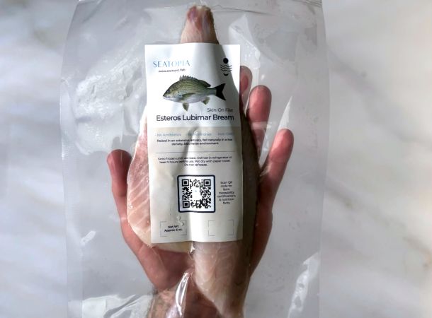 images/Success Stories/seatopia/seatopia-news03.jpg